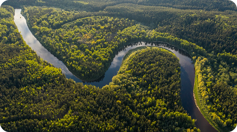 O que é a Amazônia?