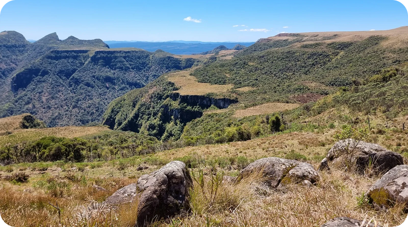 Campos de altitude